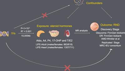 Genetic variation reveals the influence of steroid hormones on the risk of retinal neurodegenerative diseases